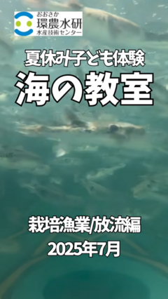 海の教室栽培漁業放流編