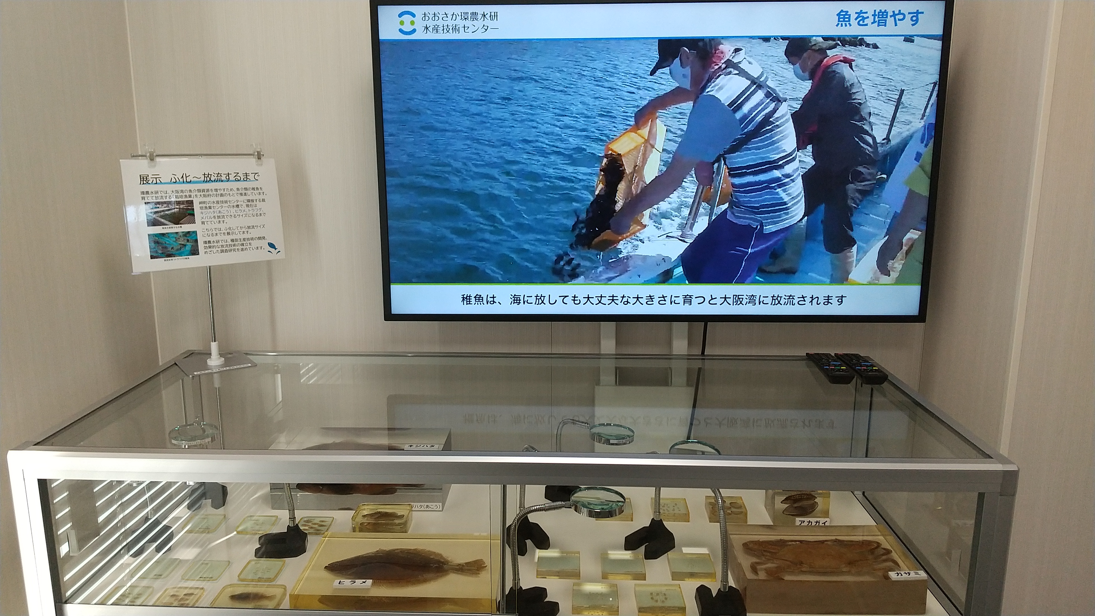 展示ケース１