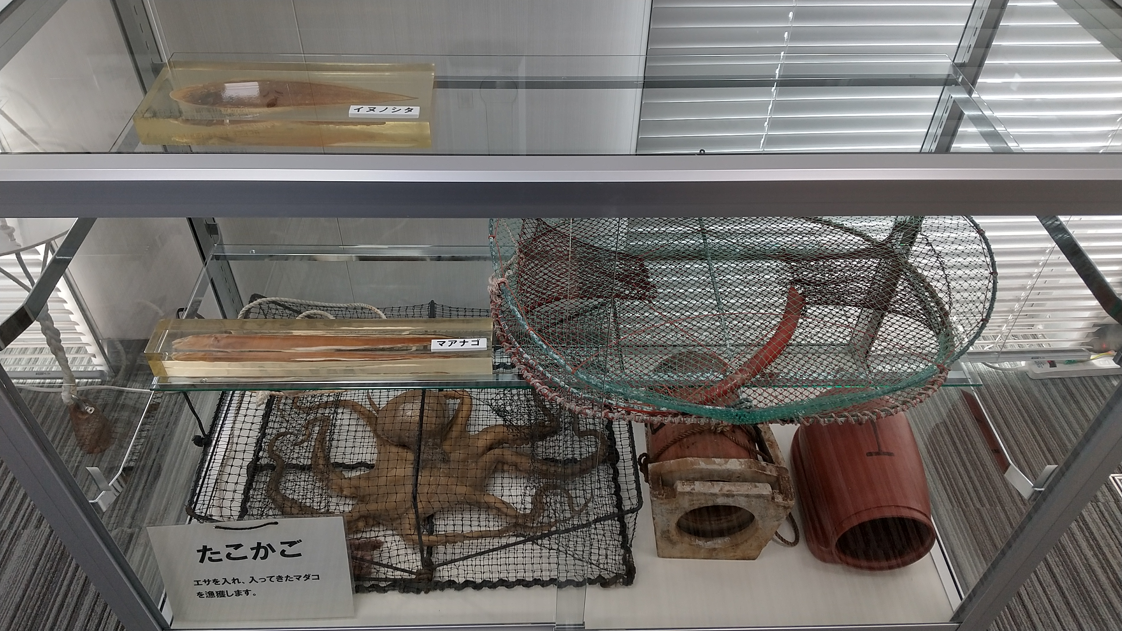 展示ケース２
