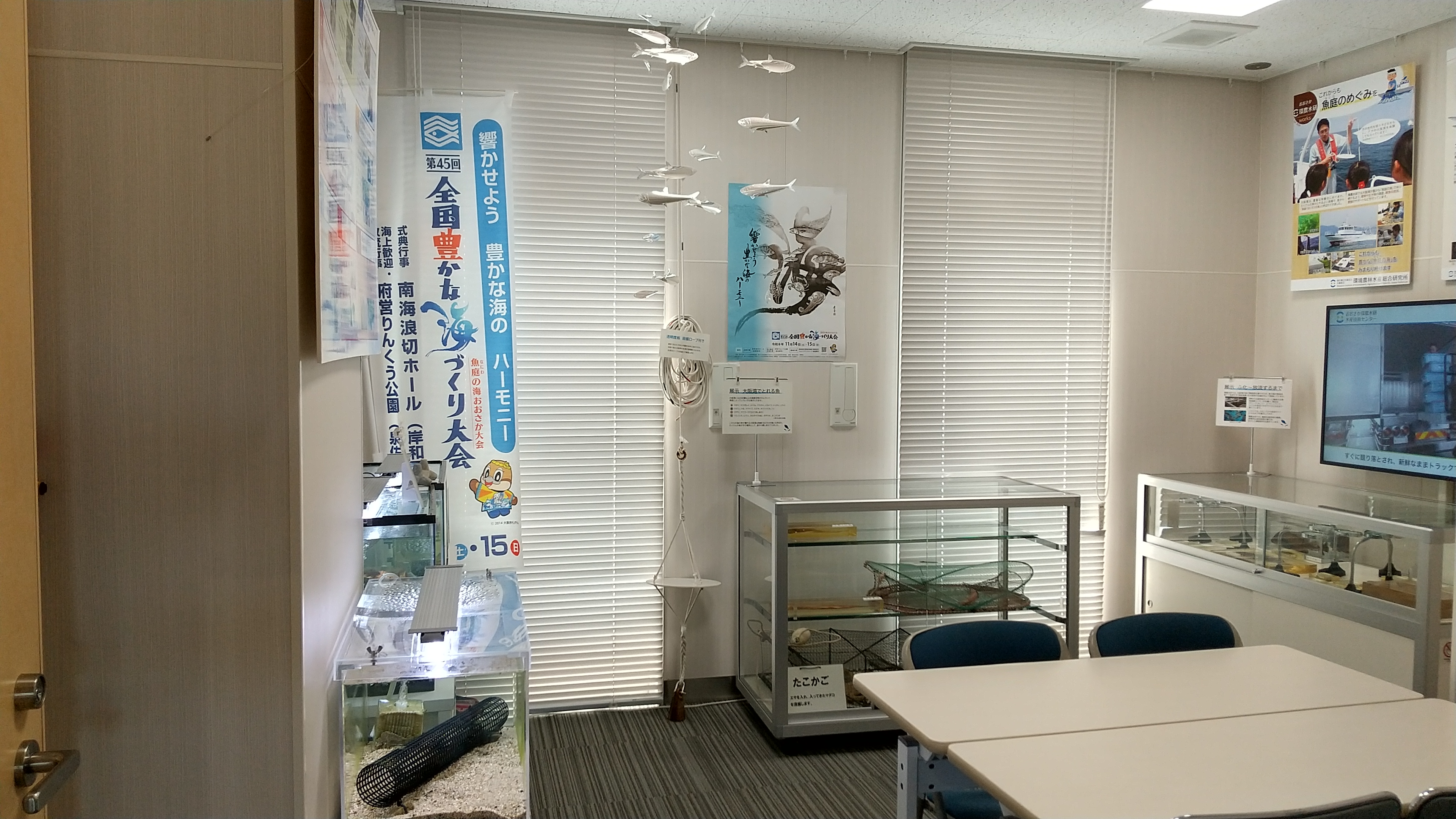 全体写真