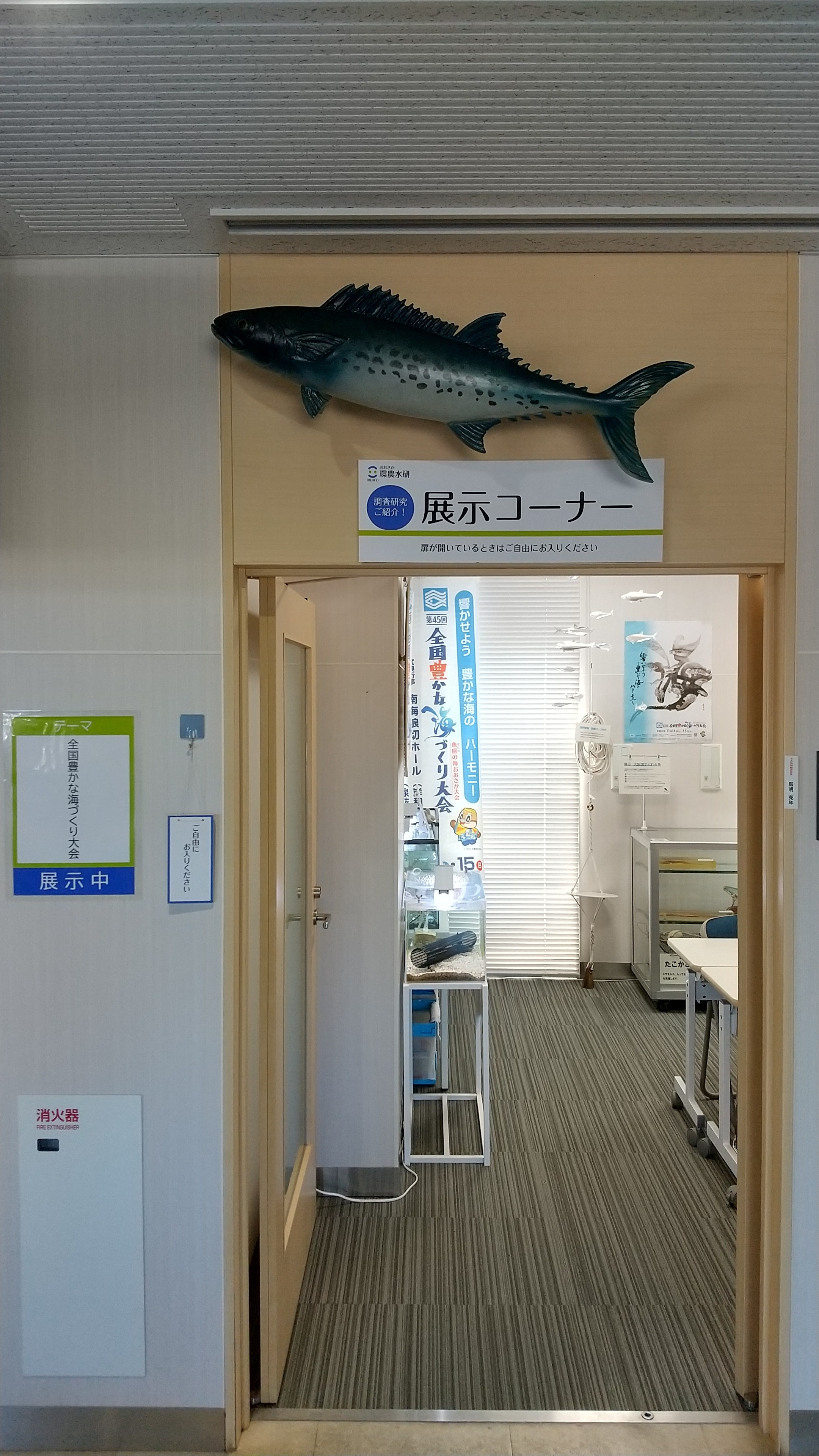 入口
