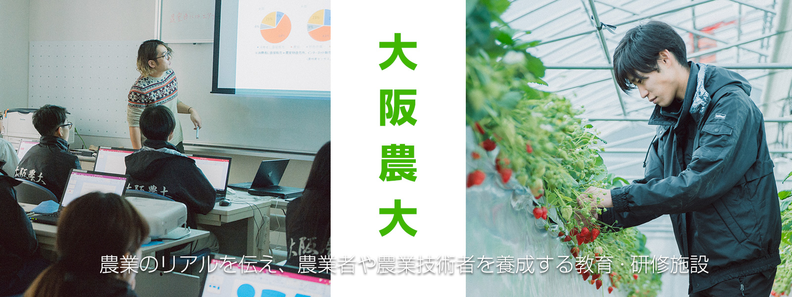 大阪農大 大阪農大